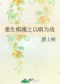 重生棋魂之以棋为战