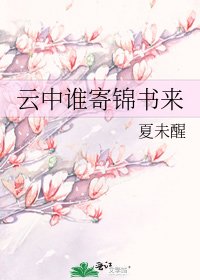 云中谁寄锦书来